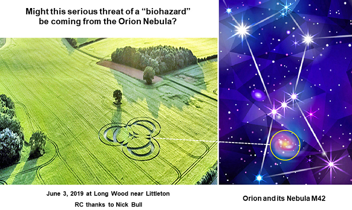 http://cropcircleconnector.com/2019/longwood/longwood-biohazard2.jpg